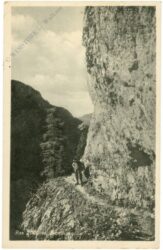 rax, branaschneide