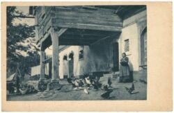 hühnerschar vor dem haus