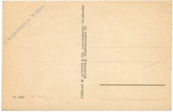 hühnerschar vor dem haus