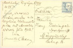 weihnachten, paar mit fackeln