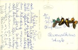 krumpendorf, ortsansicht