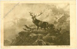 schrödl, a.: der könig der berge