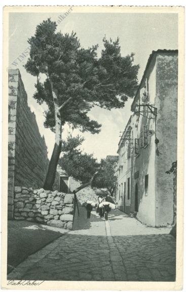 rab (arbe), ansicht rab (arbe), ansicht