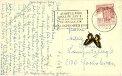 innsbruck, servitenkirche, "maria, mittlerin der gnaden"