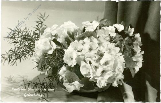 geburtstag, blumenstrauß geburtstag, blumenstrauß