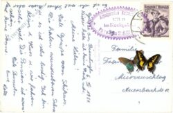 stadl an der mur, ansicht