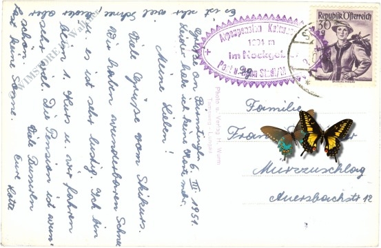 stadl an der mur, ansicht