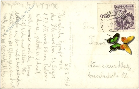 donnersbach, planneralpe, donnersbacher tauernhaus