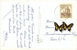 gutenstein, blick ins klostertal gegen schneeberg vom mariahilfberg