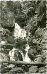 ysperklamm, ansicht
