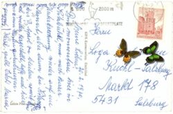 kitzbühel, kitzbüheler horn, gipfel kapelle