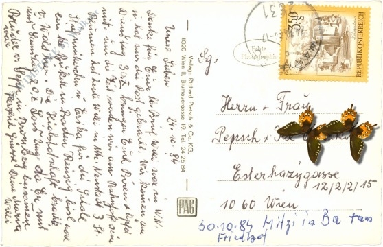 gleißenfeld, ruine türkensturz a.d. aspangbahn