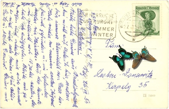 windisch garsten, mit pyhrgas