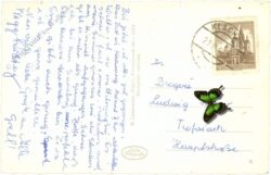 tauplitzalm, th.k. hollhaus gegen grimming