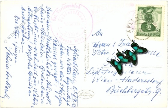 hochschwab, heldenkreuz und pyramide am hochschwabgipfel