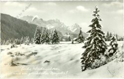 weihnachten, verschneiter wald