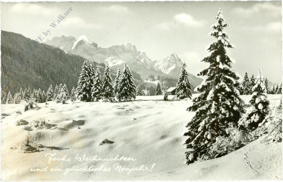 weihnachten, verschneiter wald