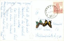 bad lainach, ortsansicht