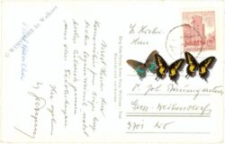 walchsee, vom kaisergebirge