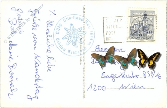 rax, blick vom törl zum ottohaus