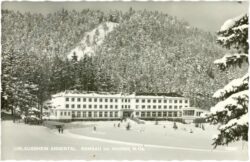 ramsau bei hainfeld, urlaubsheim annental