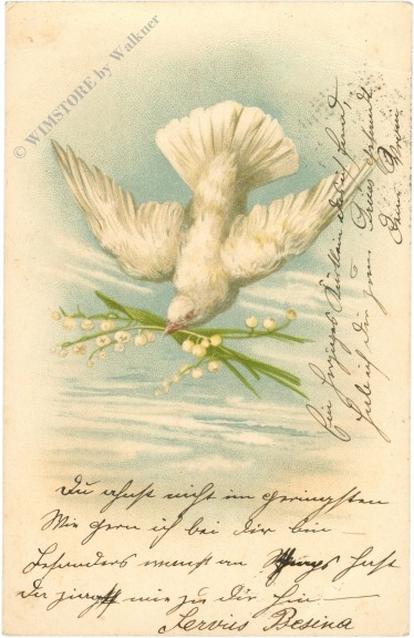 taube, mit maiglückchen