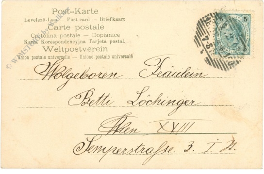 taube, mit maiglückchen