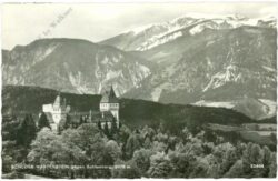 wartenstein, schloss wartenstein gegen schneeberg