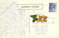 torquay, from rock walk