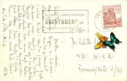 obertauern, weninger alm