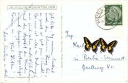 mösern, auf dem wege nach mösern, blick auf die mieminger berge