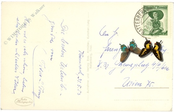 kramsach brandenberg, triftsteig