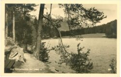 lienz, tristachersee