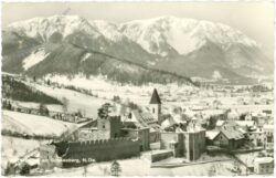 puchberg am schneeberg, ortsansicht