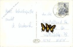 puchberg am schneeberg, ortsansicht