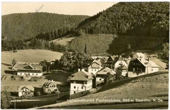 puchenstuben, ortsansicht