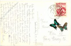 puchenstuben, ortsansicht