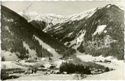 donnersbachwald, mit mörsbachspitze