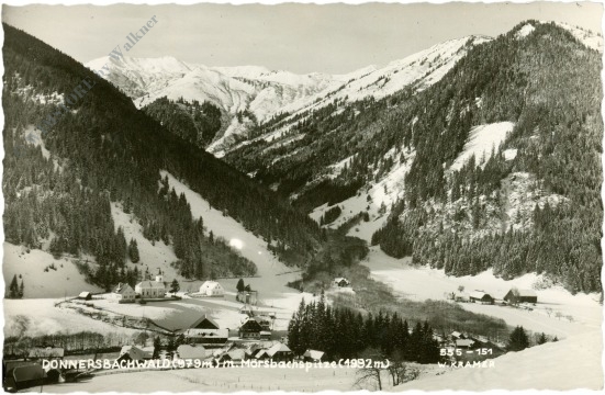 donnersbachwald, mit mörsbachspitze