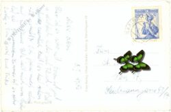 saalbach, multiansicht