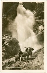 krimml, oberer krimmler wasserfall