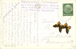 krimml, oberer krimmler wasserfall