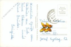 flachau an der enns, ortsansicht