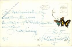 st. jakob im defereggen, ortsansicht