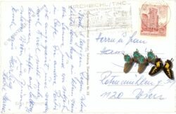 scheffau, am wilden kaiser