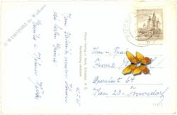 puchenstuben, ortsansicht