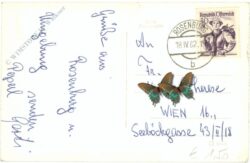 rosenburg am kamp, ansicht