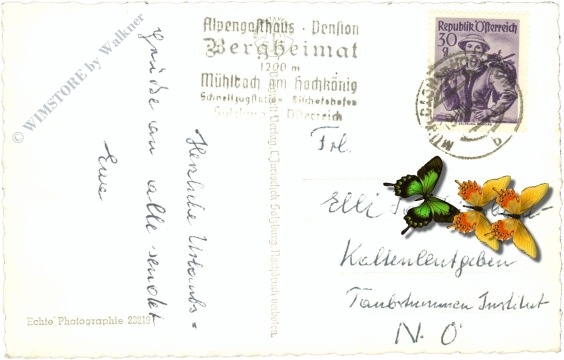 pfarrwerfen, mitterfeldalm g.d. mandlwand