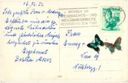 riss, thomas: im stall zu bethlehem