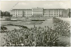 wien 13, schloss schönbrunn